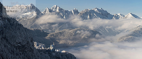 Schloss Neuschwanstein vor verschneiten Bergen  Allgäuer Alpen  Füssen  Allgäu  Bayern  Deutschland  Europa