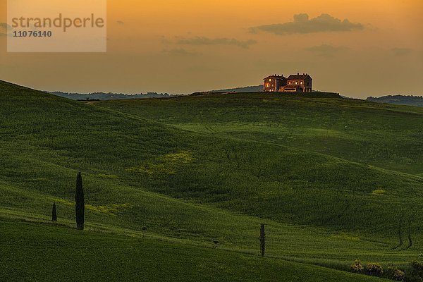 Toskanische Landschaft mit Kornfeld und Gehöft bei Sonnenuntergang  San Quirico d'Orcia  Val d'Orcia  Toskana  Italien  Europa