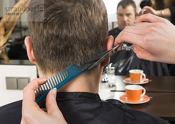 Einem Mann werden die Haare geschnitten  Frisörsalon  Deutschland  Europa