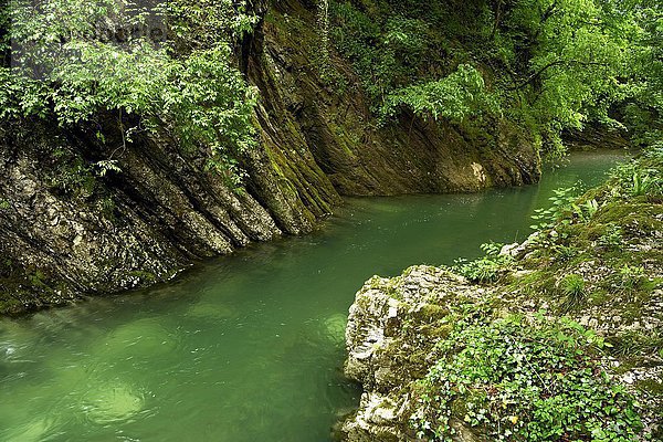 Erodierte Kalkbänder  Gesteinspakete  Fluss Breggia  Geopark Gole della Breggia  Mendrisio  Kanton Tessin  Schweiz  Europa