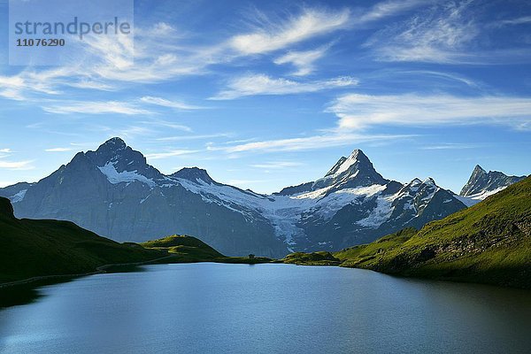 Bachalpsee mit Wetterhorn  Schreckhorn  Finsteraarhorn und First  Grindelwald  Kanton Bern  Schweiz  Europa