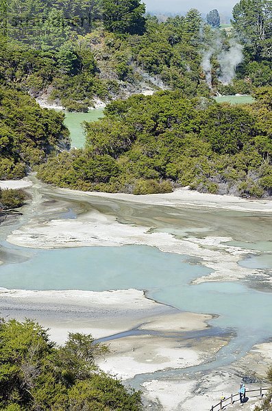 Wai-O-Tapu Thermal Wonderland  Waiotapu Thermal Area  Rotorua  Neuseeland  Ozeanien