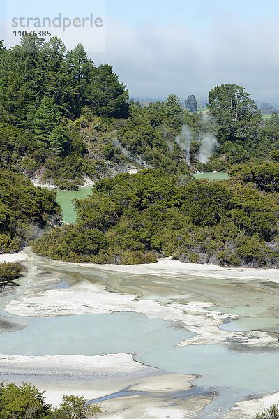 Wai-O-Tapu Thermal Wonderland  Waiotapu Thermal Area  Rotorua  Neuseeland  Ozeanien