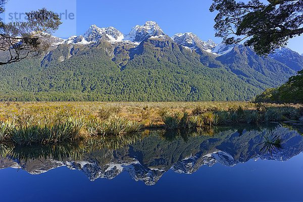 Lake Matheson mit Reflexionen der Berge  Fiordland-Nationalpark  Milford Sound  Südinsel  Region Southland  Neuseeland  Ozeanien