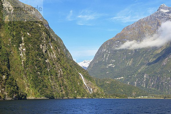 Milford Sound  Fiordland-Nationalpark  Südinsel  Region Southland  Neuseeland  Ozeanien