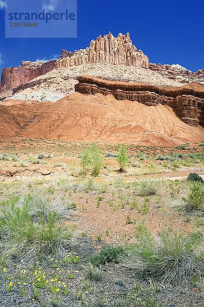 Felsformation The Castle  Fremont River  Capitol-Reef-Nationalpark  Utah  USA  Nordamerika