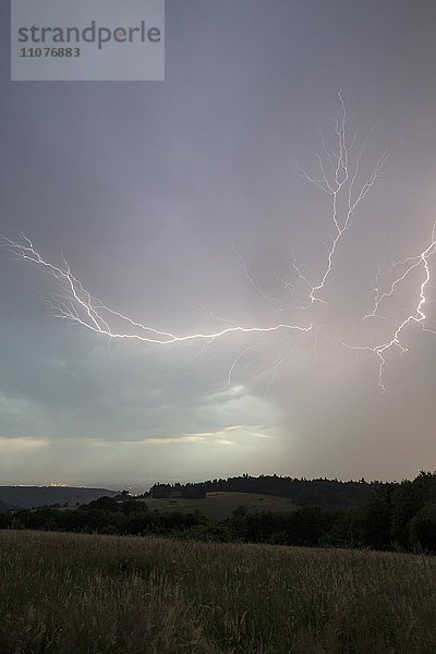 Gewitter mit mehreren Blitzen  bei Lahr im Schwarzwald  Baden-Württemberg  Deutschland  Europa