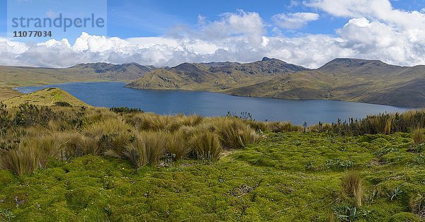 Laguna de la Mica  Antisana Nationalpark  Anden  Provinz Napo  Ecuador  Südamerika