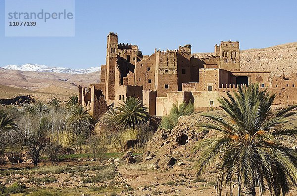 Ausblick auf die Kasbah Tamdaght in der Nähe von Aït-Ben-Haddou  hinten das Atlasgebirge  Südmarokko  Marokko  Afrika