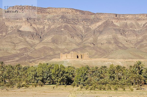 Ausblick auf die Kasbah Tamnougalt mit dem Djebel Kissane Bergrücken dahinter  Draa-Tal  Südmarokko  Marokko  Afrika