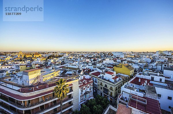 Ausblick auf die Stadt Sevilla  Provinz Sevilla  Andalusien  Spanien  Europa