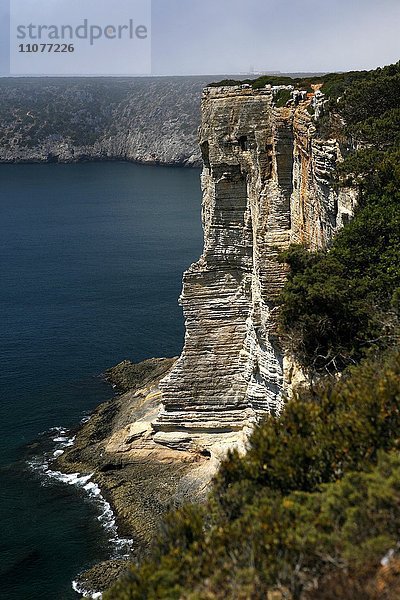 Steilküste  Felsküste bei Sagres  Algarve  Portugal  Europa