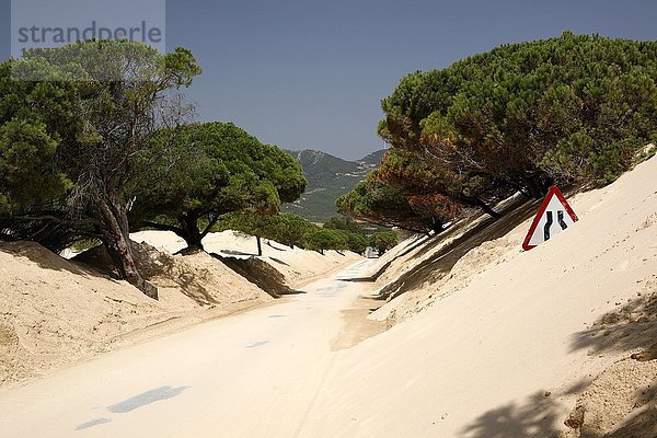Straße führt durch Wanderdüne  Duna de Bolonia  Verkehrszeichen im Sand  Distrikt Cadiz  Spanien  Europa