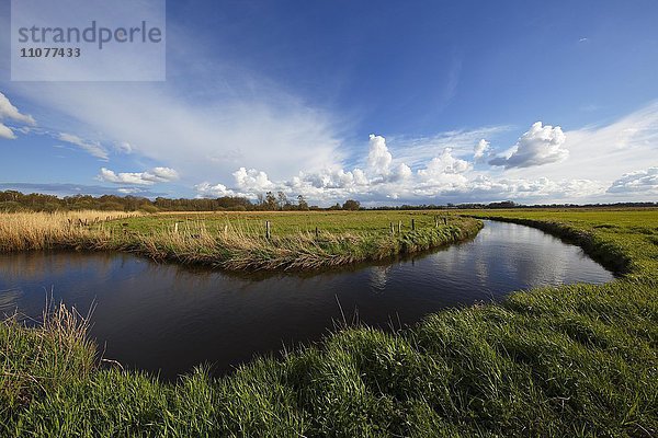 Naturschutzgebiet Oberalsterniederung  Oberlauf des Flusses Alster im Frühling  Wakendorf  Schleswig-Holstein  Deutschland  Europa