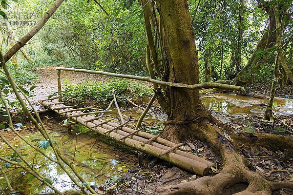 Brücke über einen kleinem Bach  Regenwald  Tat Kuang Si Wasserfälle  Louang Prabang  Louangphabang  Laos  Asien