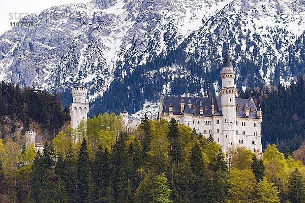 Schloss Neuschwanstein  Berge schneebedeckt  Schwangau  Ostallgäu  Allgäu  Oberbayern  Bayern  Deutschland  Europa