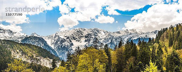 Schneebedeckte Alpen  Alpenpanorama  Wettersteingebirge  Garmisch-Partenkirchen  Bayern  Deutschland  Europa