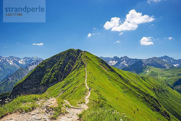 Wanderweg vom Söllereck zum Fellhorn  2038m  Allgäuer Alpen  Bayern  Deutschland  Europa