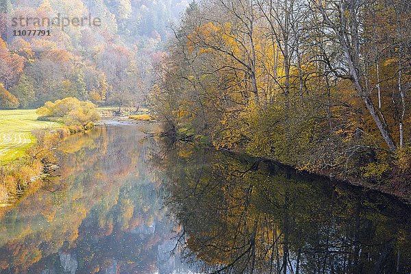 Naturpark Obere Donau im Herbst  Schwäbische Alb  Baden-Württemberg  Deutschland  Europa