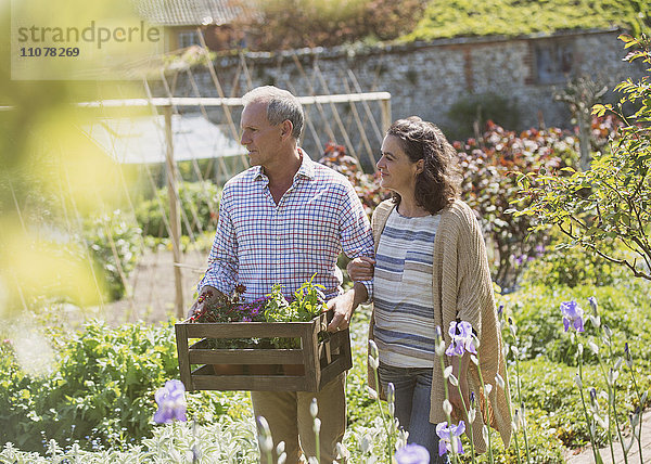 Paar-Shopping für Blumen im sonnigen Pflanzgarten