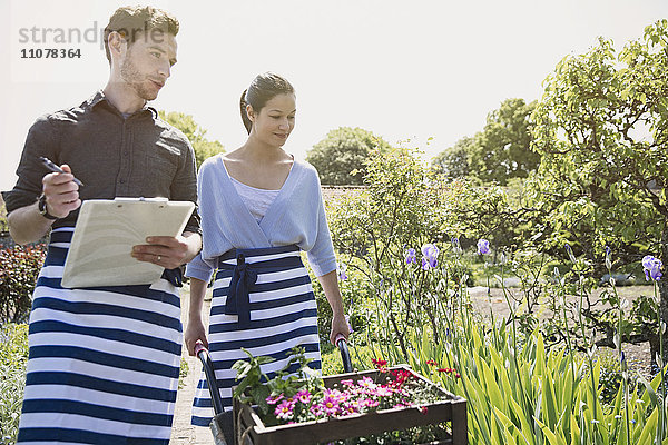 Gärtner mit Klemmbrett und Schubkarre mit Blumen im sonnigen Garten