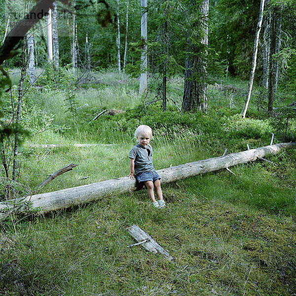 Junge  sitzend  Baumstamm im Wald