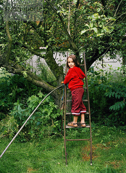 Mädchen steht auf einer Leiter neben einem Apfelbaum im Garten