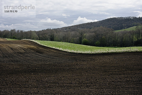 Ländliche Landschaft