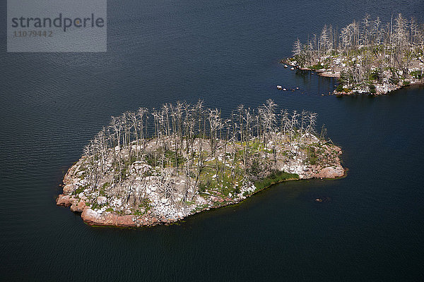 Luftaufnahme von kleinen Inseln mit Bäumen