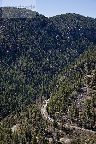Kiefernwald und Landstraße  Oak Creek Canyon  Arizona  USA
