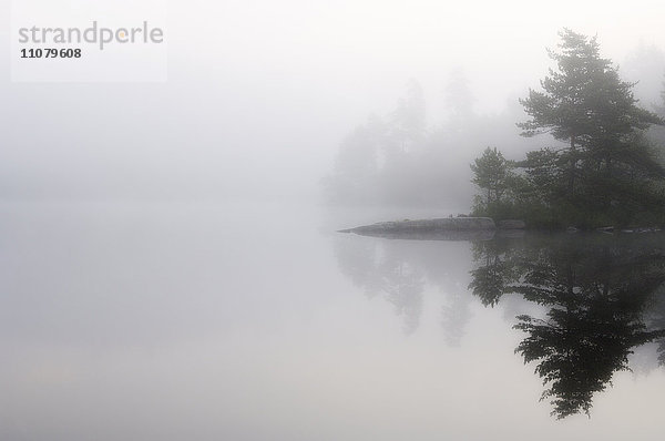 Ruhiger  nebelverhangener See in der Morgendämmerung