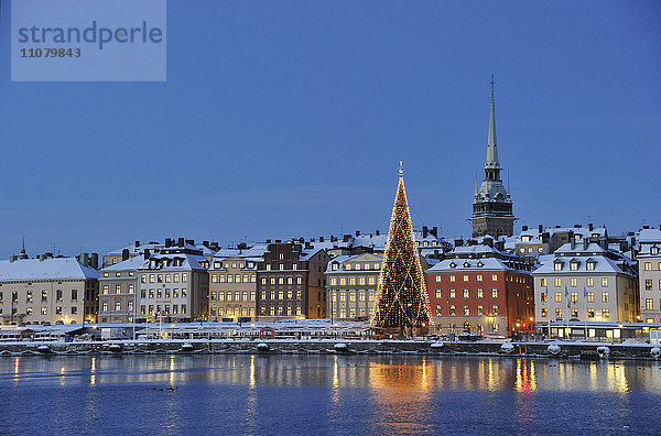 Weihnachtsbaum mit Gebäuden im Hintergrund