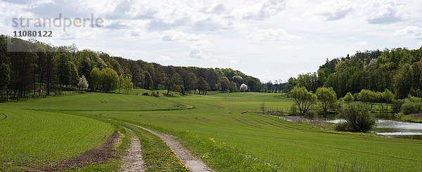 Ländliche Landschaft