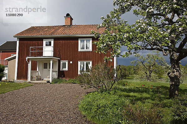 Holzhaus mit blühendem Apfelbaum