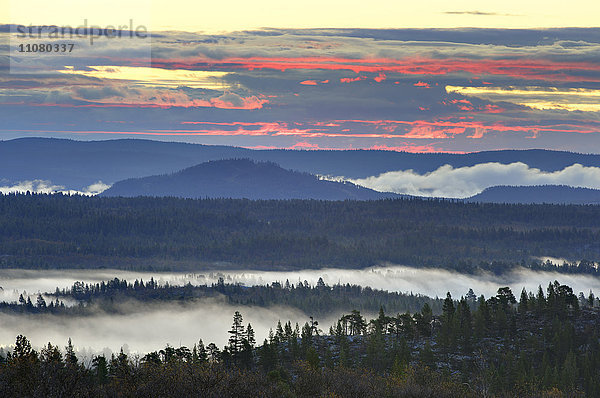 Wald und Berge bei Sonnenaufgang