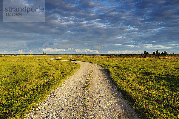 Geschotterter Weg durch Wiesen