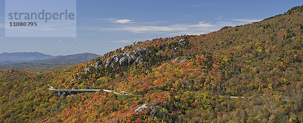 Herbstwald mit Blue Ridge Parkway