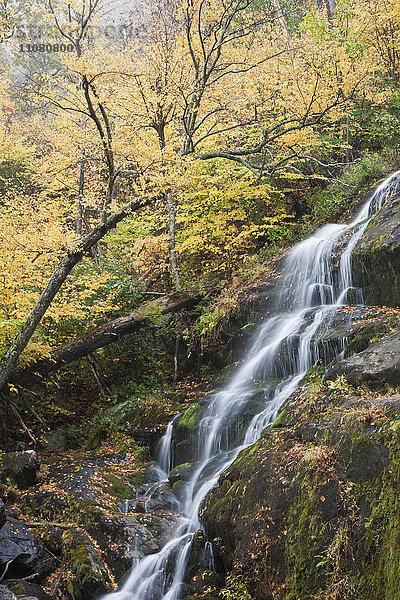 Malerischer Blick auf einen Wasserfall im Wald