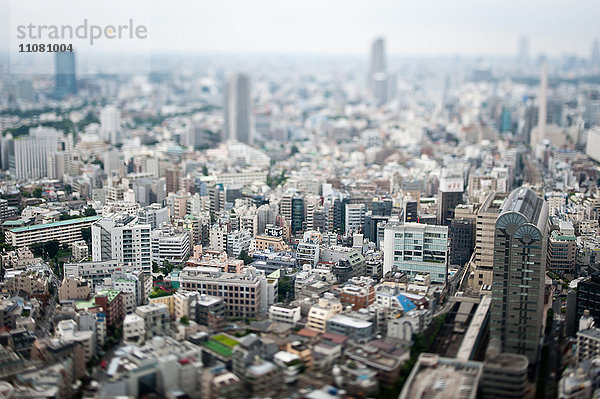 Stadtbild von Tokio aus der Vogelperspektive  Tokio  Japan