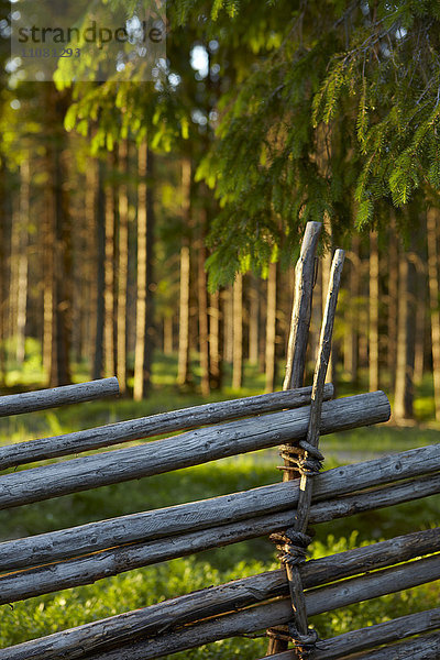 Alter Holzzaun im Wald