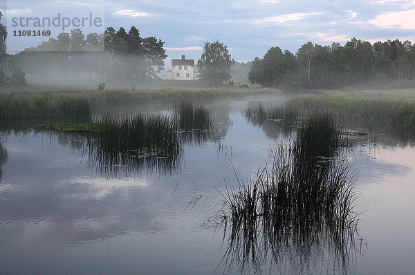 Nebliger See