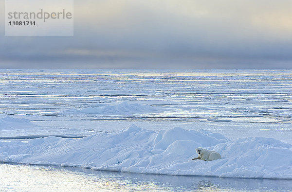 Polarnähe in der Arktis
