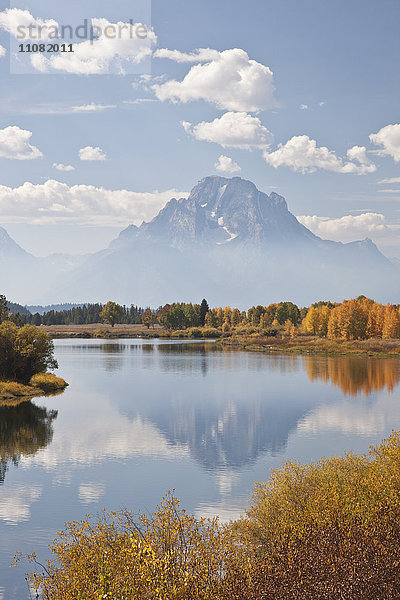 Malerische Landschaft mit Espenbäumen