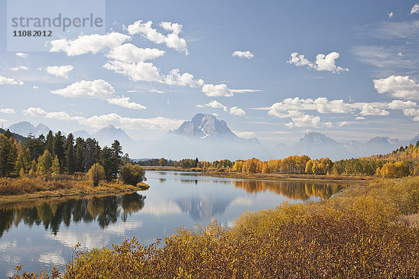 Malerische Landschaft mit Espenbäumen