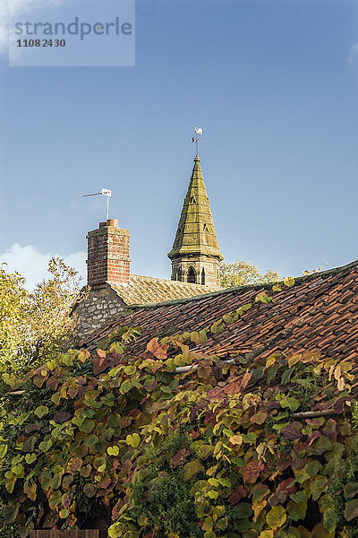 Pflanzen auf dem Dach  Yorkshire