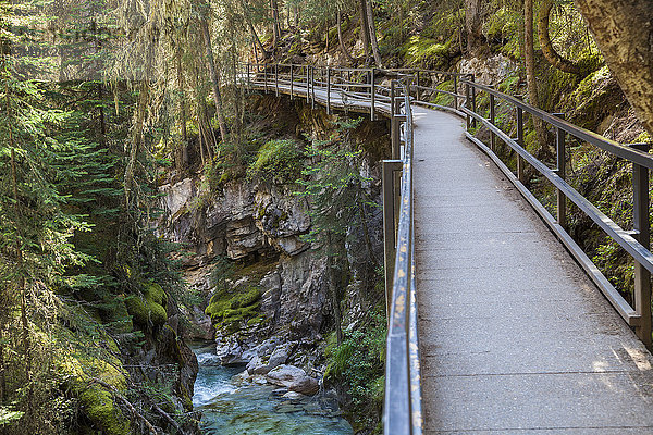Hölzerne Fußgängerbrücke über den Waldfluss