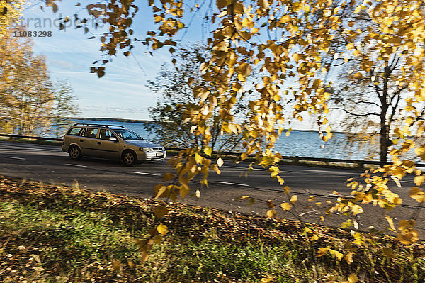 Auto auf Landstraße im Herbst