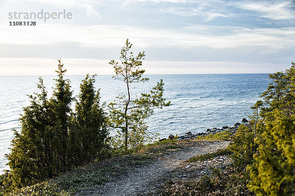 Kleiner Pfad an der Ostsee  Gotland  Schweden