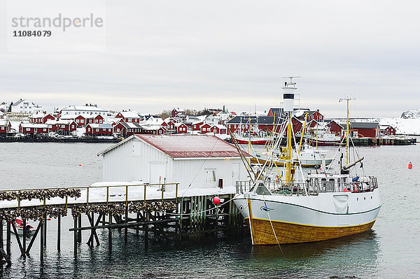 Boot im Hafen vertäut  Lofoten  Norwegen