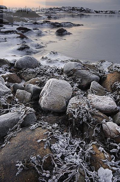 Steinküste im Winter